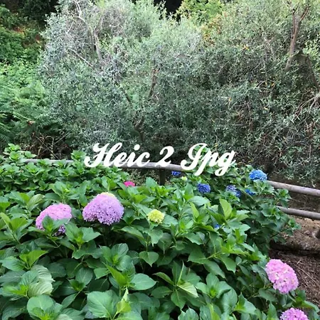 Ortensia דירה מרצ'אנה