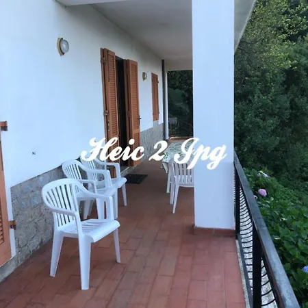 Apartament Ortensia